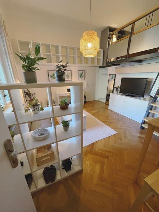 Stefanka Apartment Old Town Bratislava Luaran gambar